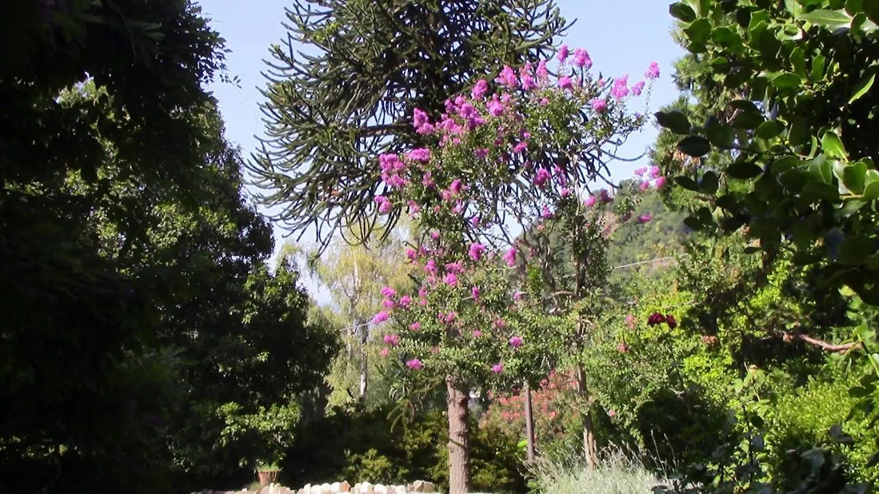 Villa Casa Della Gioia Castelveccana